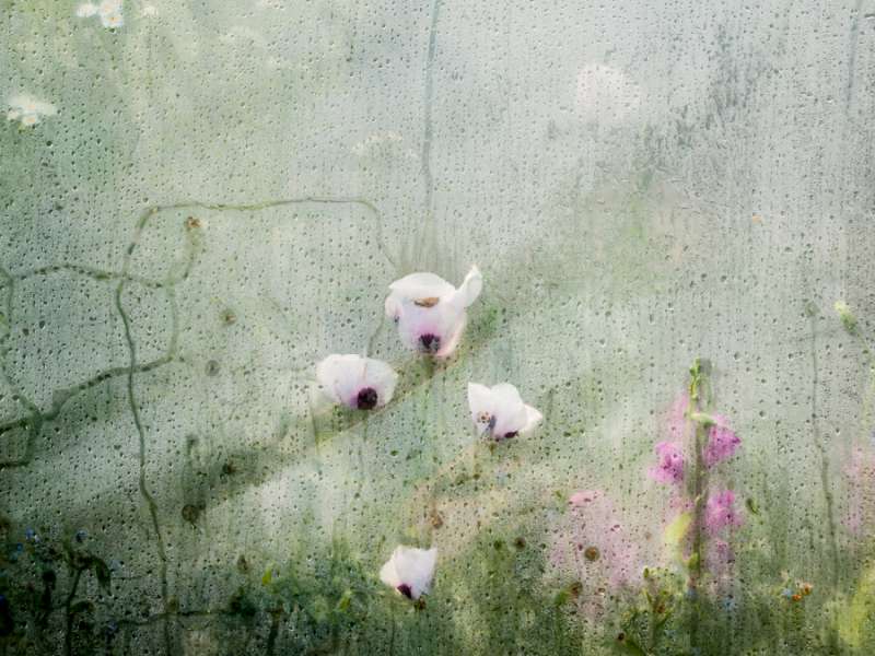 Secret Lives I